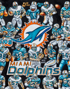 Miami Dolphins Tribute Sports Painting