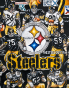 Pittsburgh Steelers Tribute Sports Painting