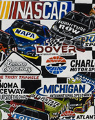 NASCAR Sprint Cup Tribute -- Sports Painting